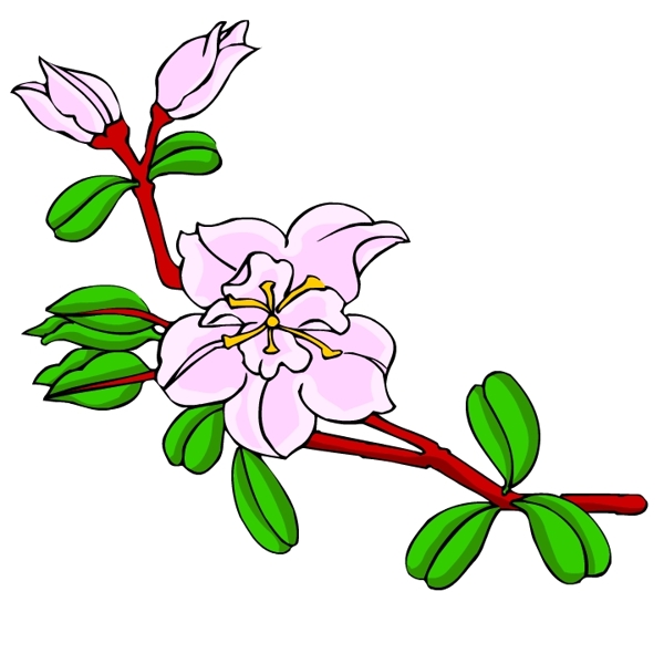 花卉古典插畫