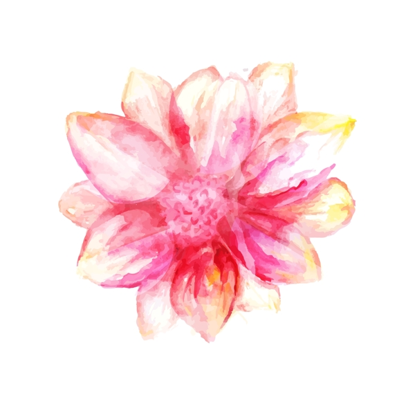 水彩花朵