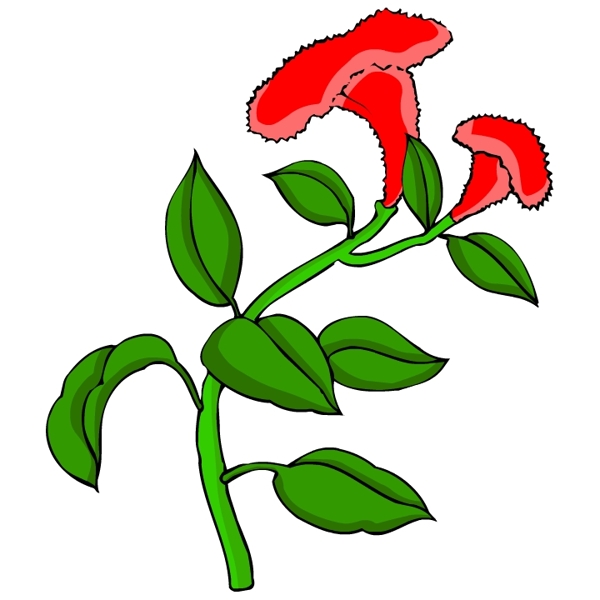 花卉古典插畫