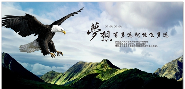夢想鷹圖片
