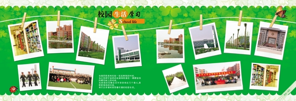 四葉草紀(jì)念冊(cè)0405