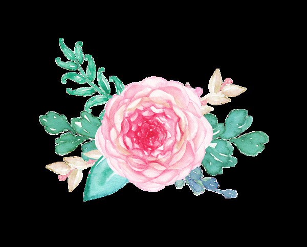 月季花卉png透明素材