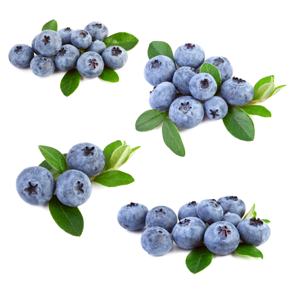 新鲜蓝莓图片