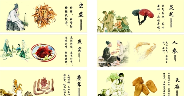 參茸背柜圖圖片
