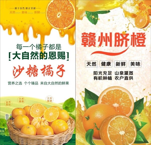 水果海報(bào)