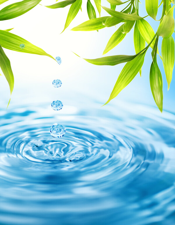 綠葉水滴漣漪高清圖片