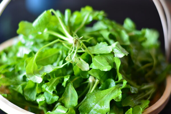 野菜薺菜