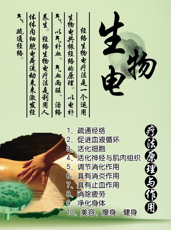 生物電