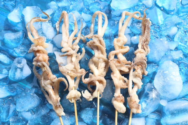 魷魚串