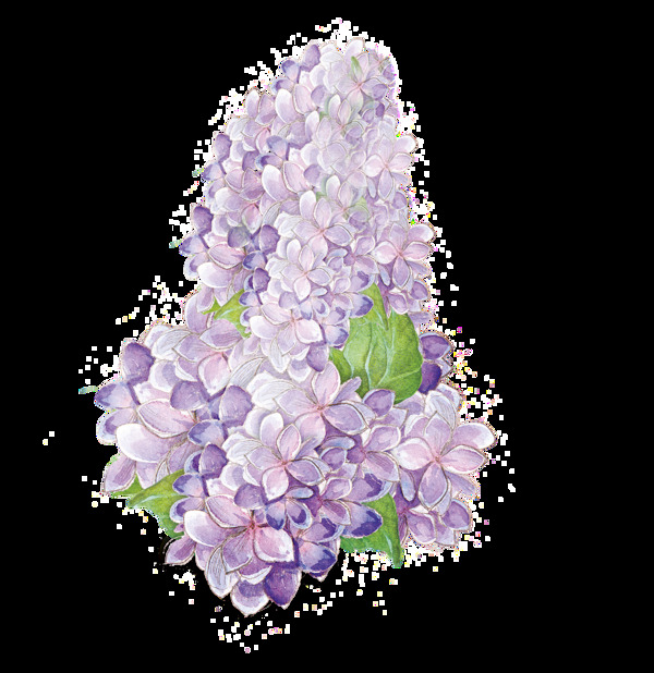 花粉花葉透明裝飾素材