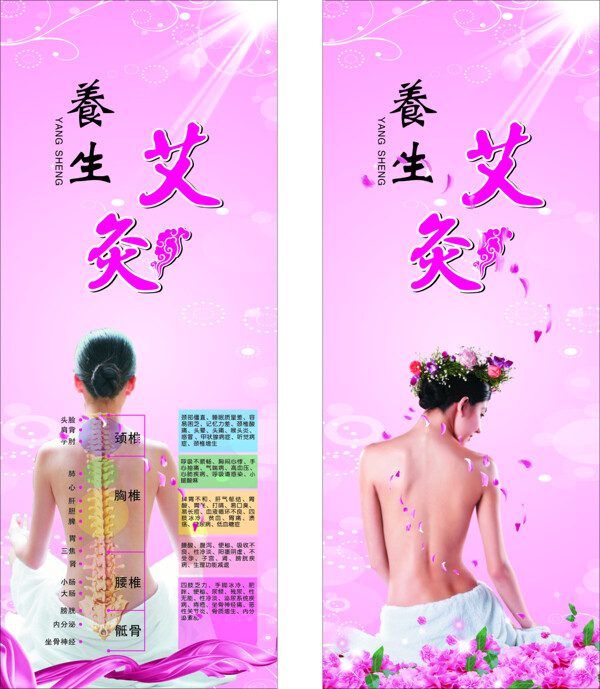美容養(yǎng)生板