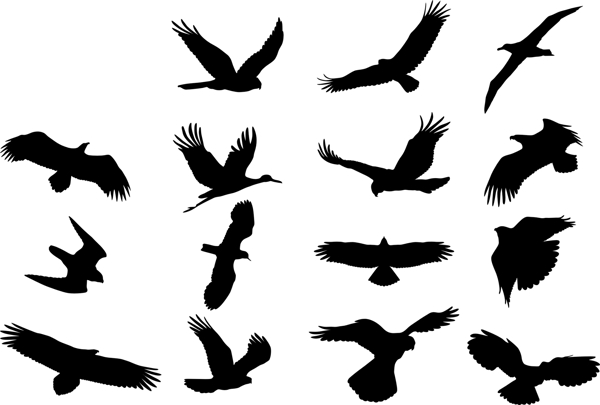 鳥矢量圖