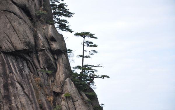 黃山圖片