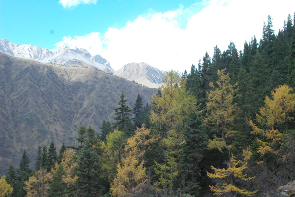 山水剪影圖片