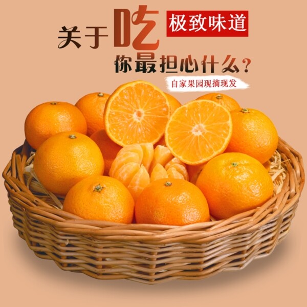 橘子主圖