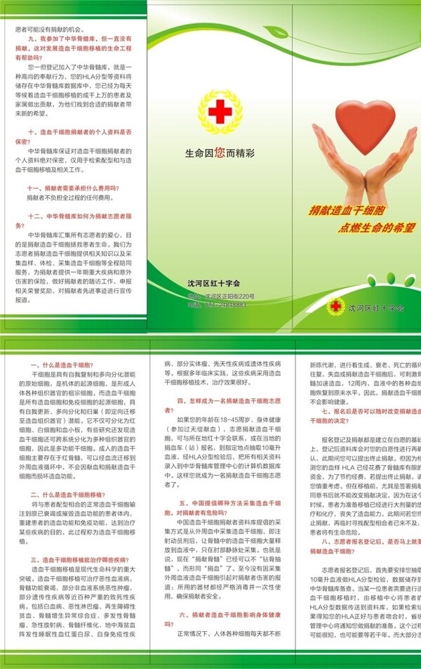 造血干細(xì)胞捐獻(xiàn)三折頁(yè)圖片