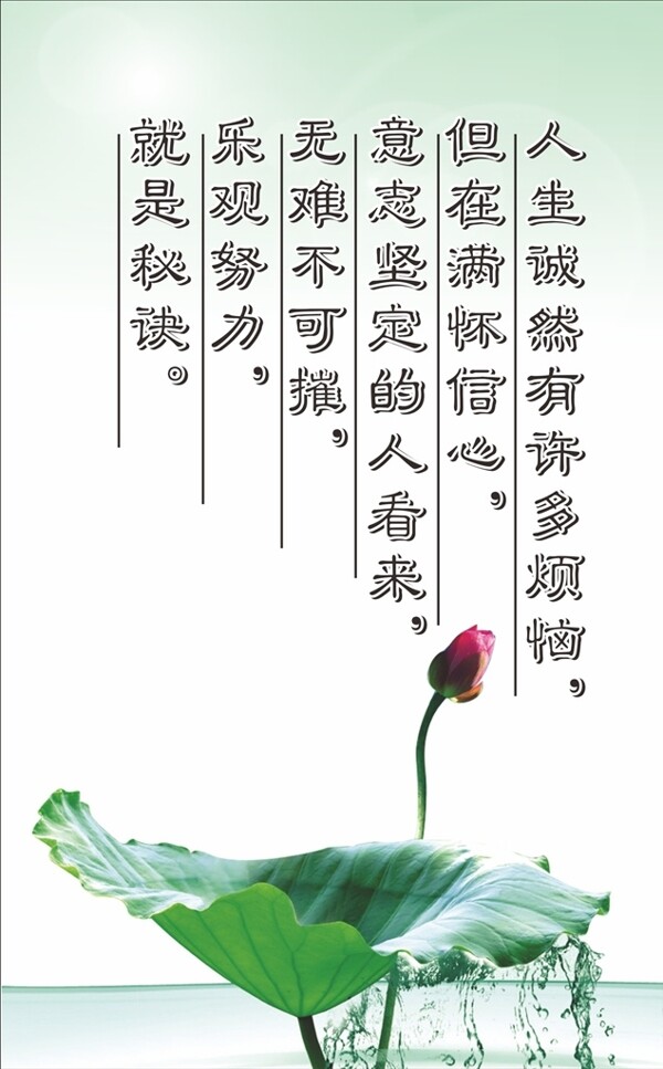 校園文化勵(lì)志標(biāo)語(yǔ)