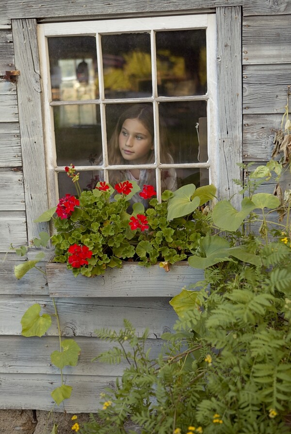 看向窗外的小女孩图片