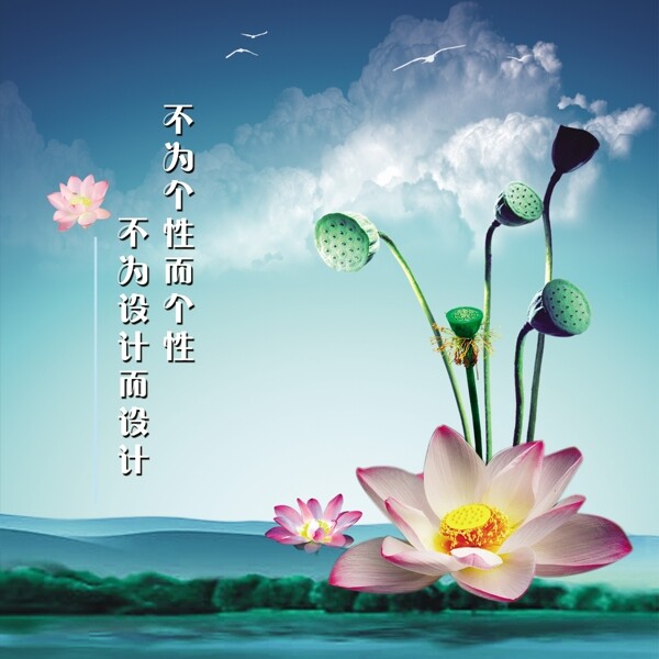 荷花