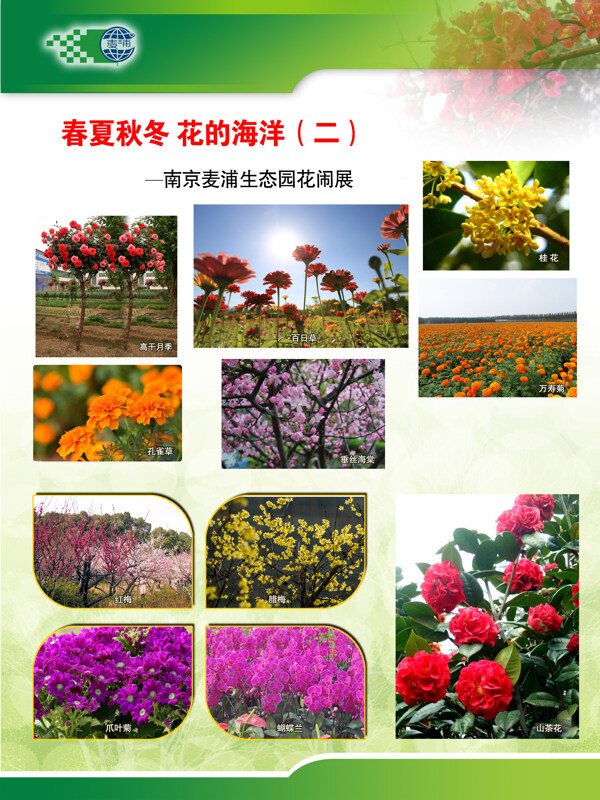 花卉展