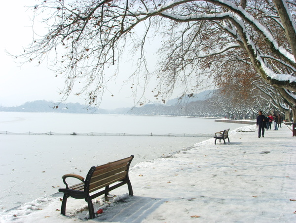 西湖雪景圖片