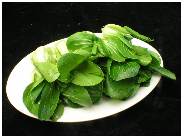 油菜圖片