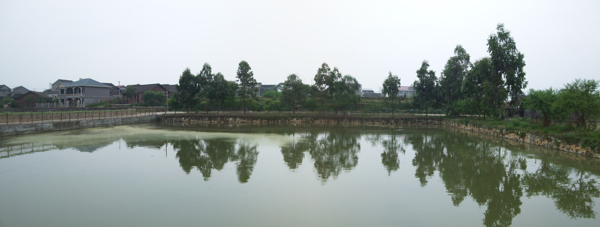 釣魚塘圖片