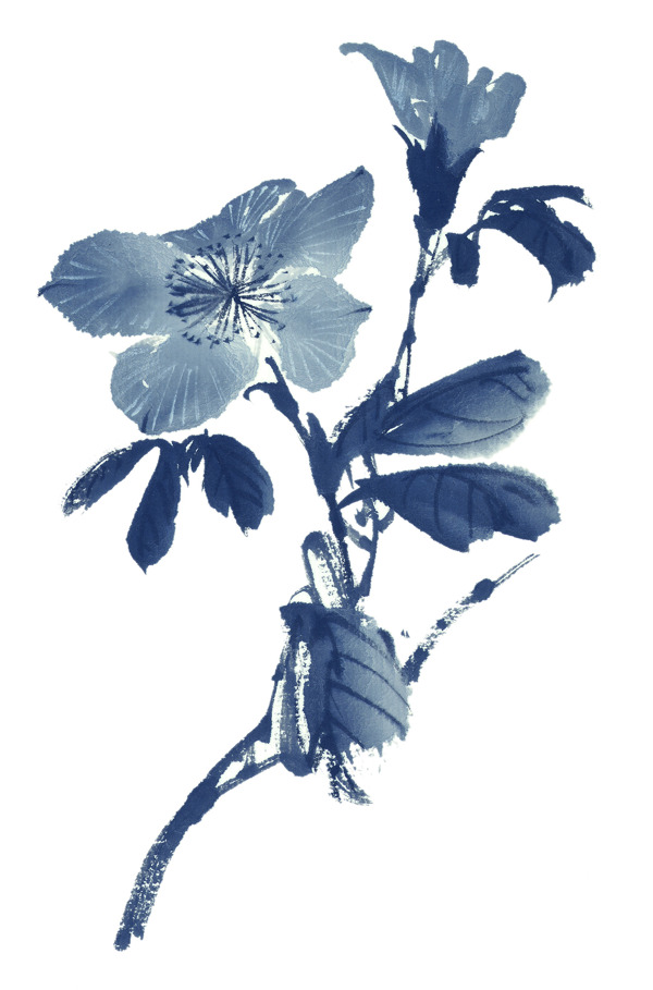 水墨牽?；?>
                </a>
                <a href=