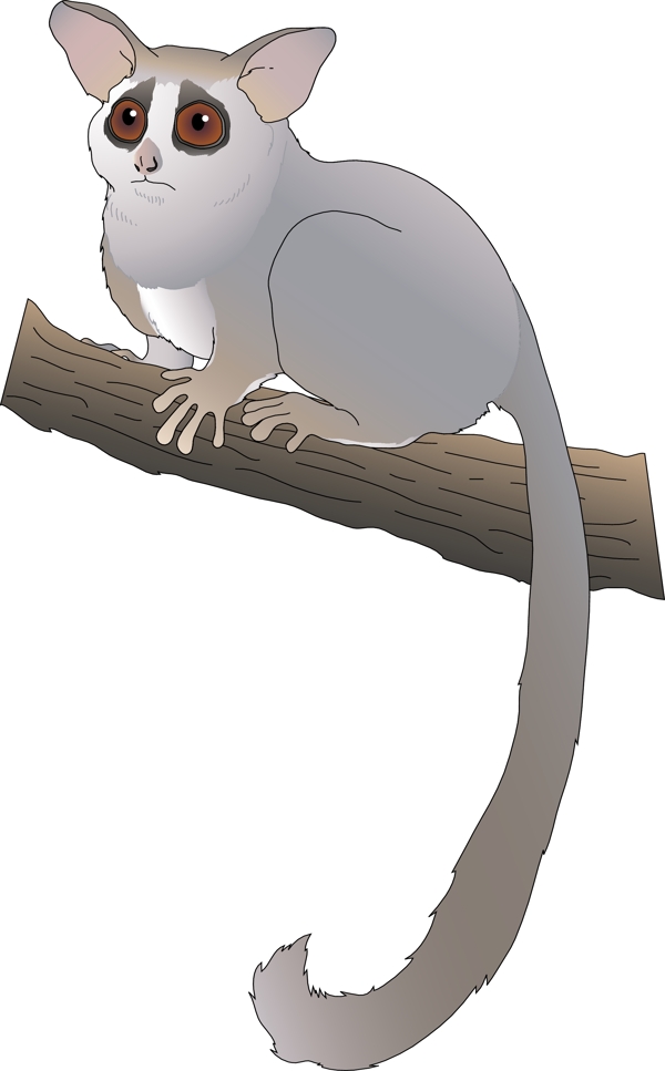 動物素材