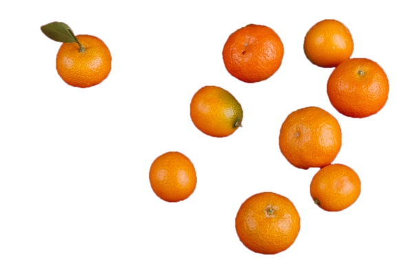 新鲜皮薄汁多的橘子