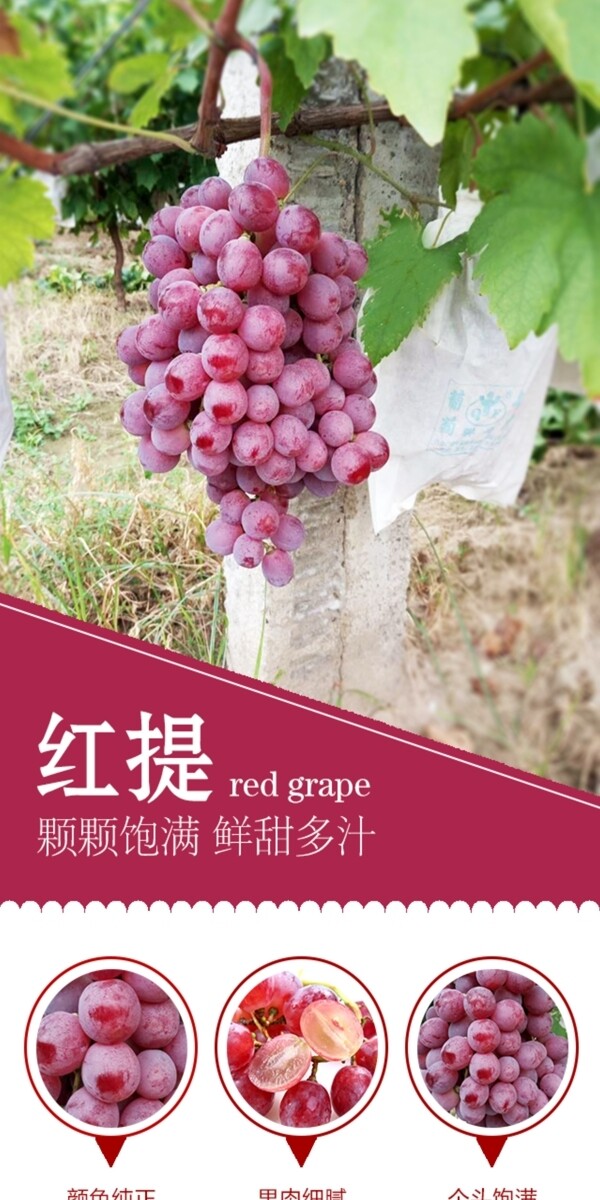 紅提詳情頁