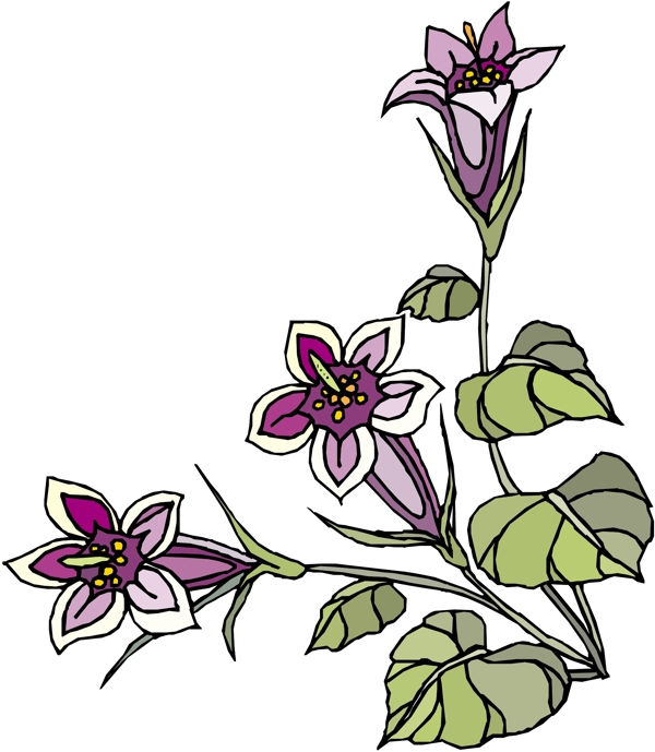 花朵花草鮮花矢量EPS格式1474