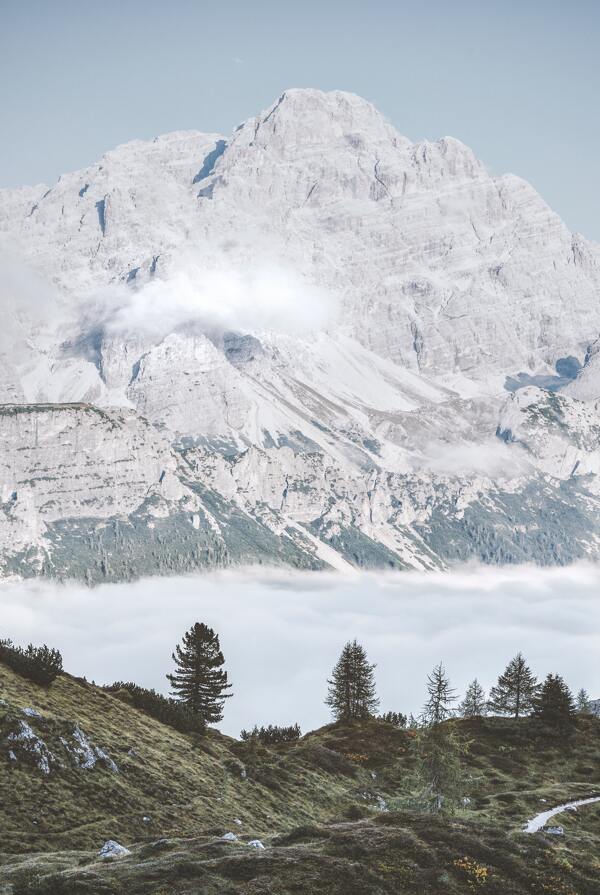 雪景