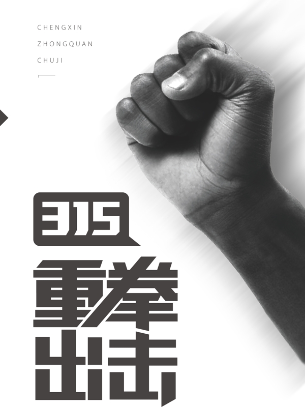 315重拳出擊