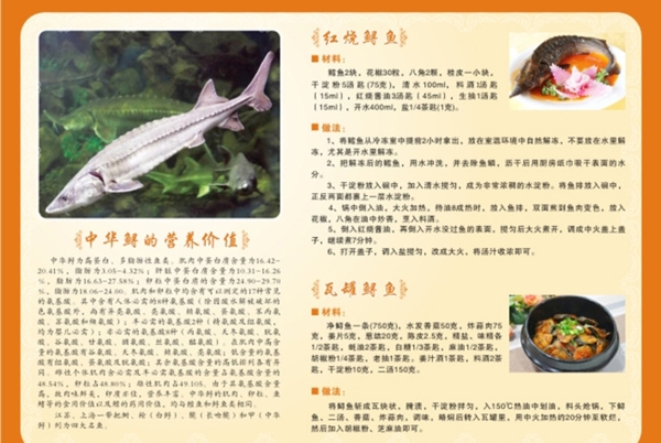 中華鱘DM圖片