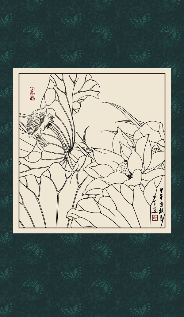 白描荷花圖片