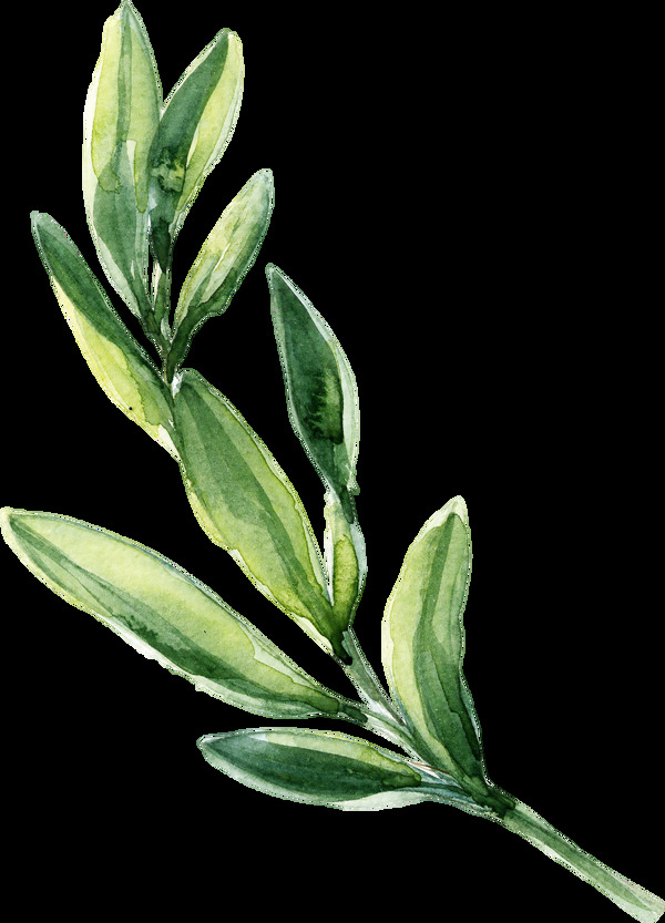 水粉花葉卡通透明素材