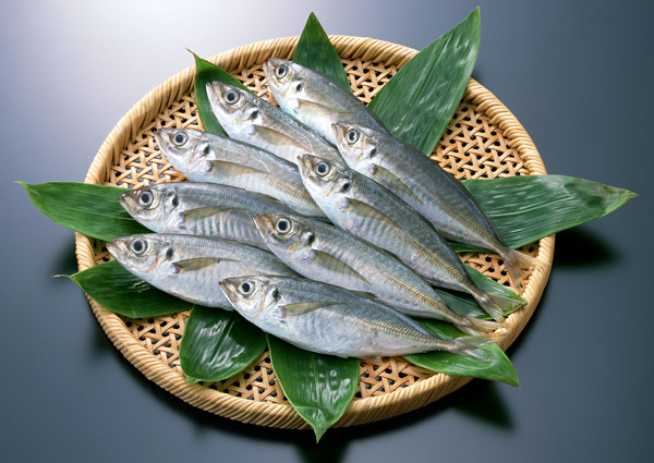 海鮮食材圖片