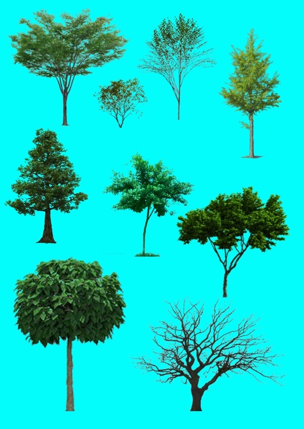树木抠图