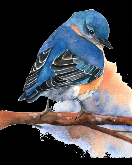 可爱精灵蓝色小鸟装饰元素