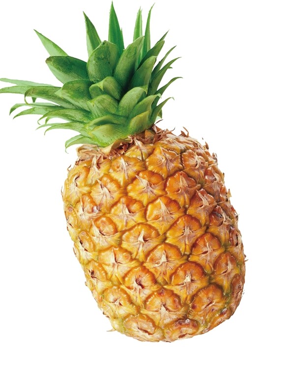菠蘿