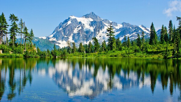 美丽的雪山森林湖泊风景图片