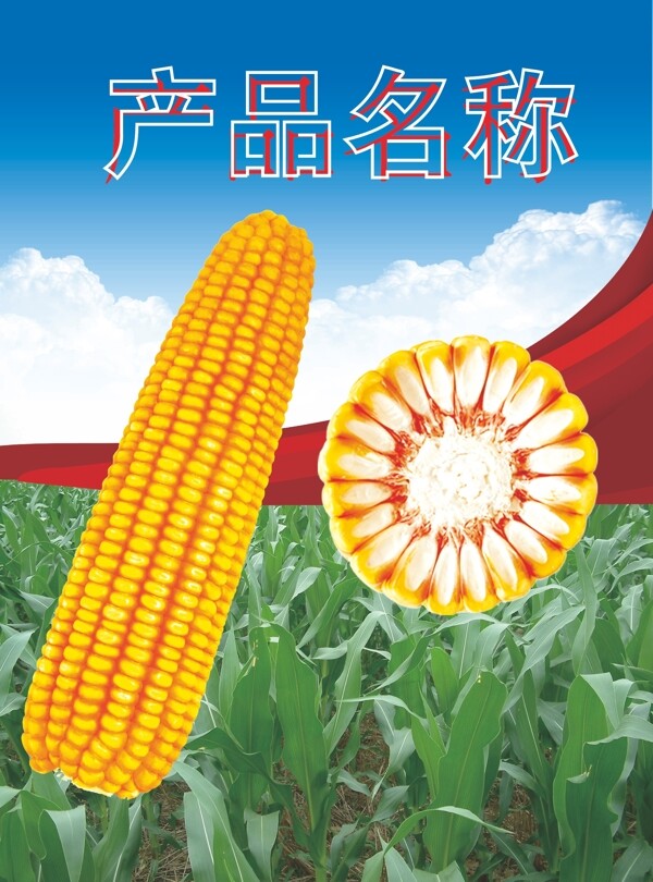 玉米