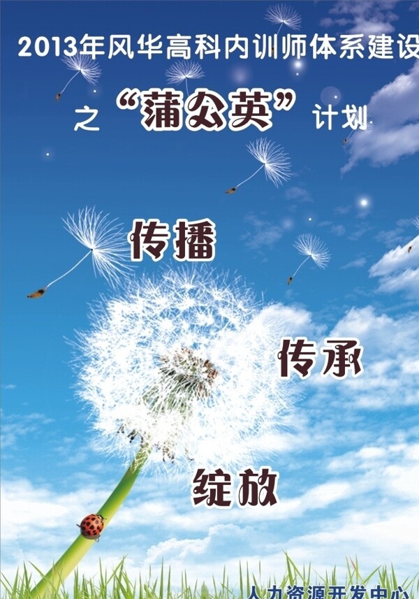蒲公英圖片