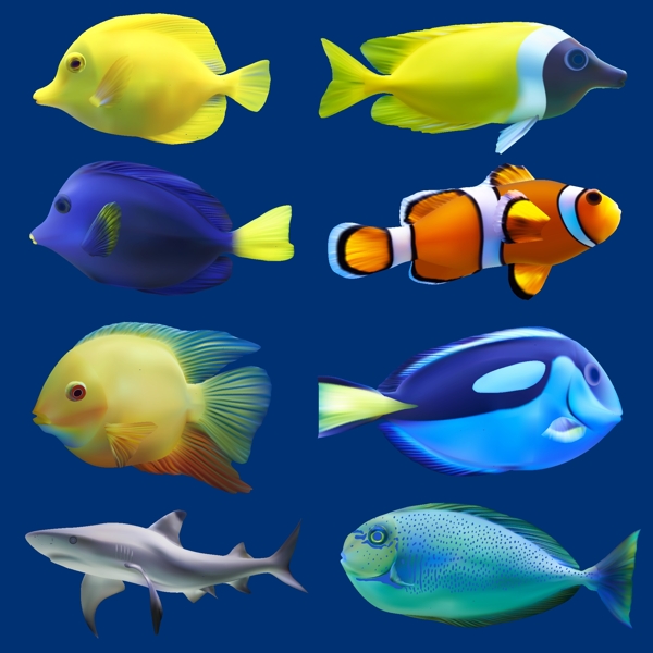 8款逼真魚