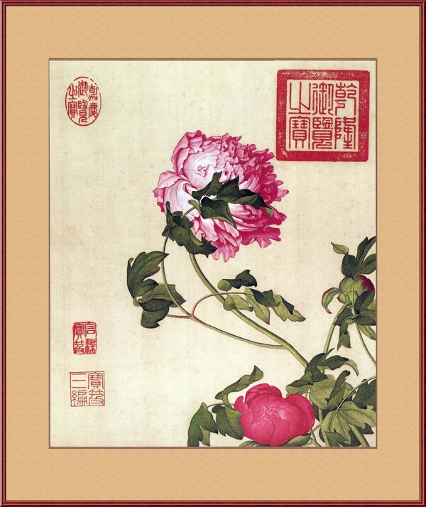 工筆畫牡丹圖片
