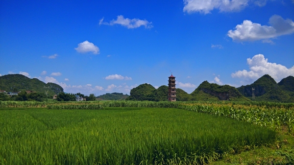 田園風(fēng)光