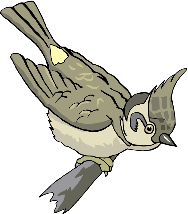 各種鳥類鳥動物矢量素材EPS格式0430
