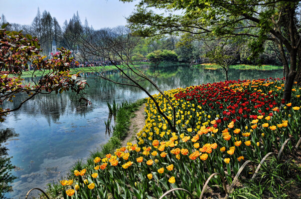 太子灣公園