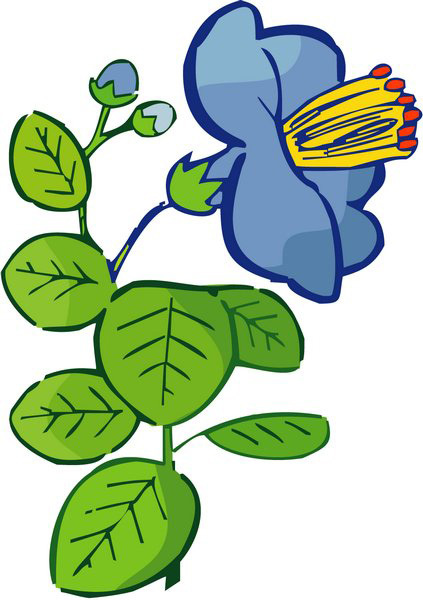 位圖色彩優(yōu)雅植物紅色綠色免費素材